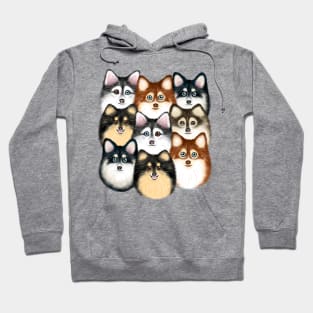 Cute Pomsky Dogs Hoodie